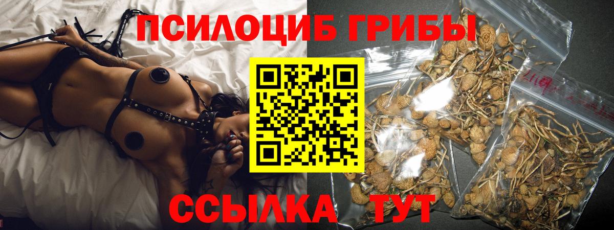 Псилоцибиновые грибы мухоморы  Вход с VPN  Алексин 