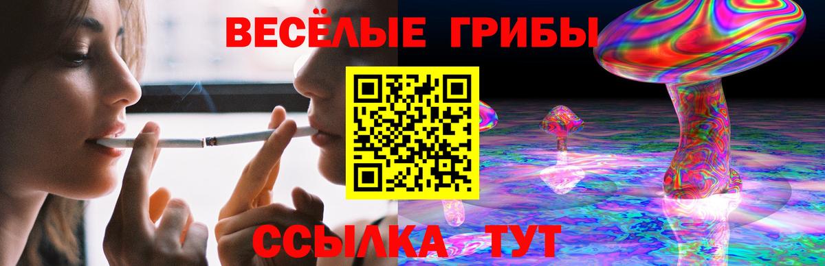 Галлюциногенные грибы Psilocybine cubensis Алексин